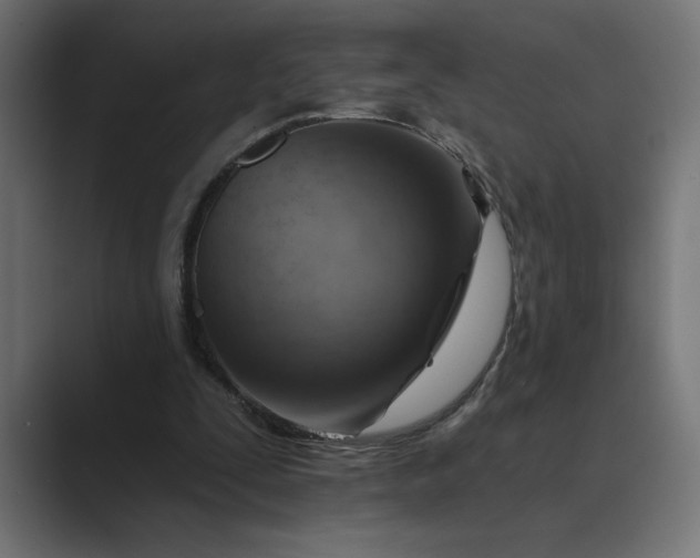 X0000089380295200706291321