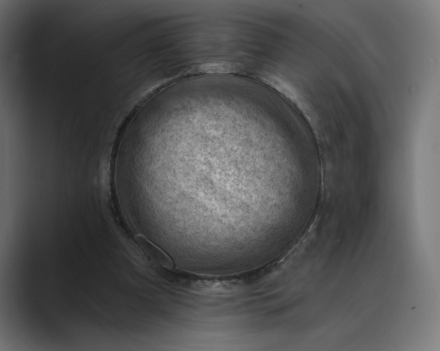 X0000089380297200706291321