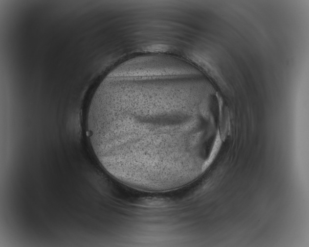 X0000089380300200706291321