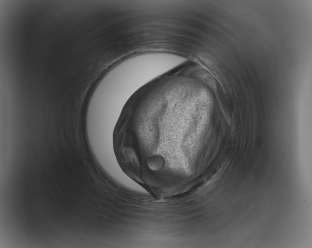 X0000089380301200706291321