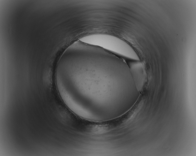 X0000089380303200706291321