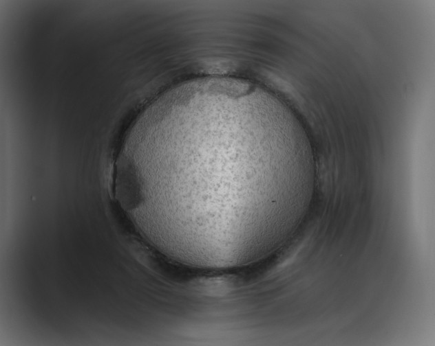 X0000089380307200706291321