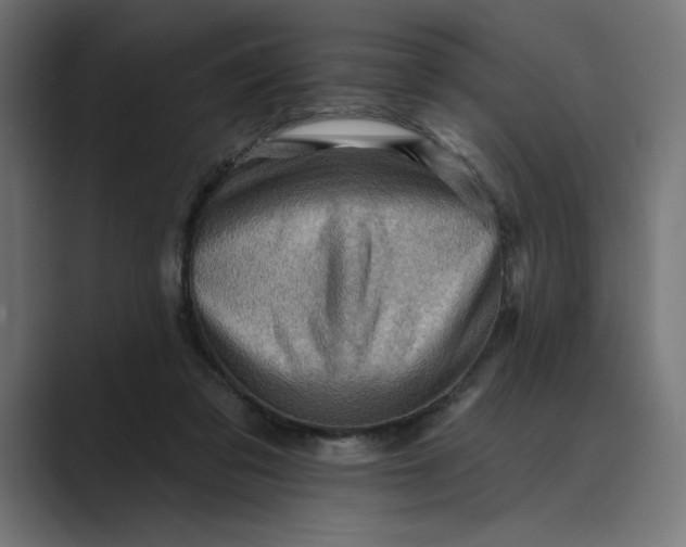 X0000089380309200706291321