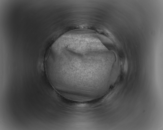 X0000089380313200706291321
