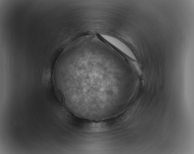 X0000089380314200706291321