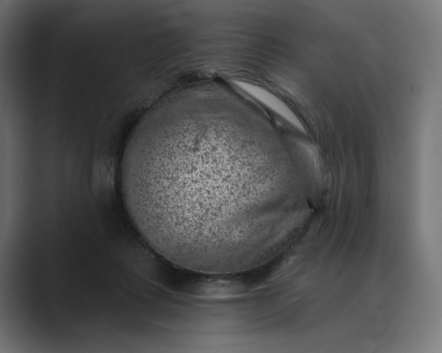 X0000089380315200706291321