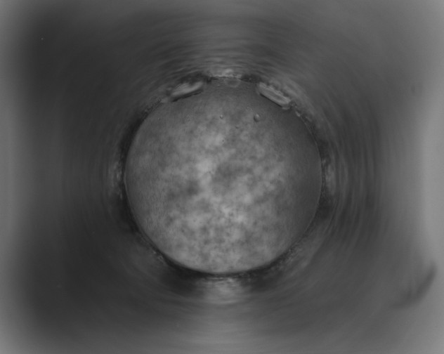 X0000089380322200706291321