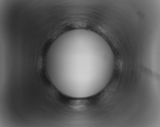 X0000089380323200706291321