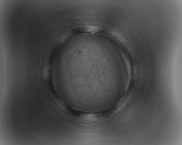 X0000089380325200706291321
