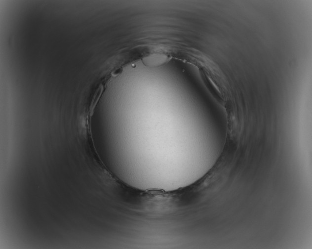 X0000089380329200706291321