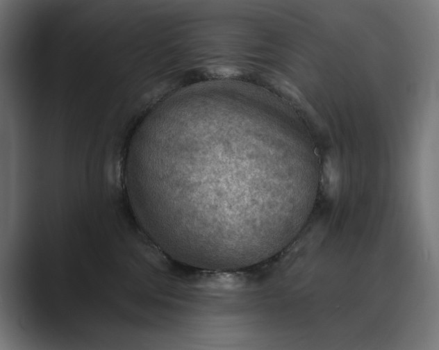 X0000089380330200706291321