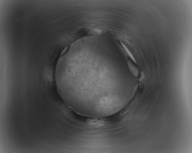 X0000089380331200706291321