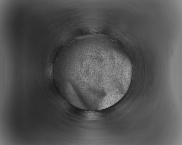 X0000089380336200706291321