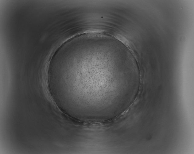 X0000089380337200706291320
