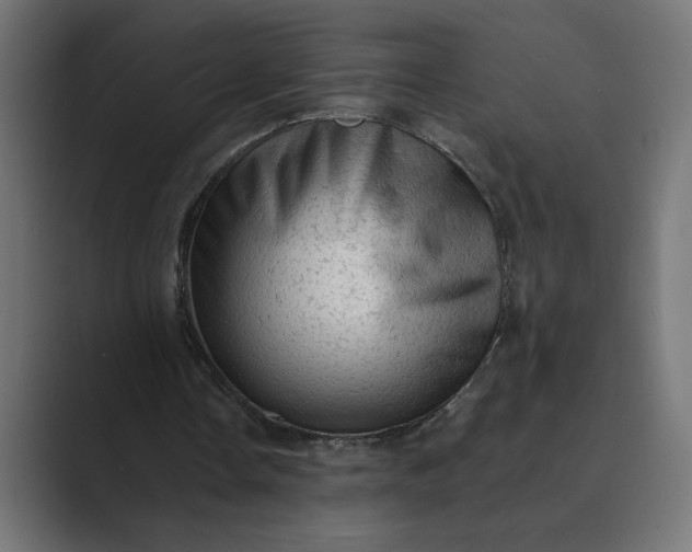 X0000089380338200706291320