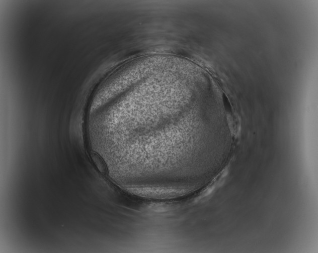 X0000089380341200706291320
