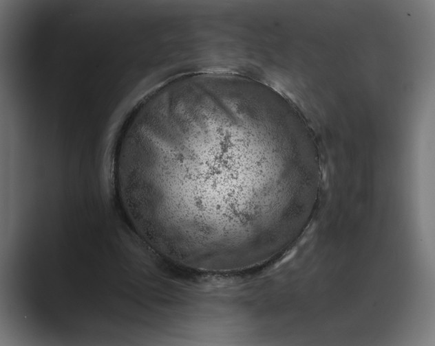 X0000089380343200706291320
