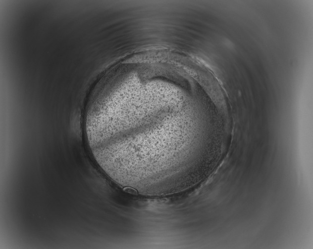 X0000089380345200706291321