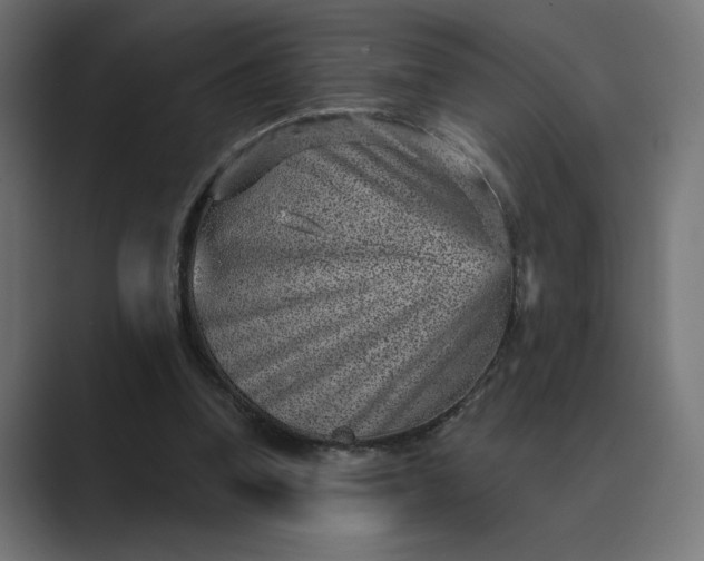 X0000089380346200706291321