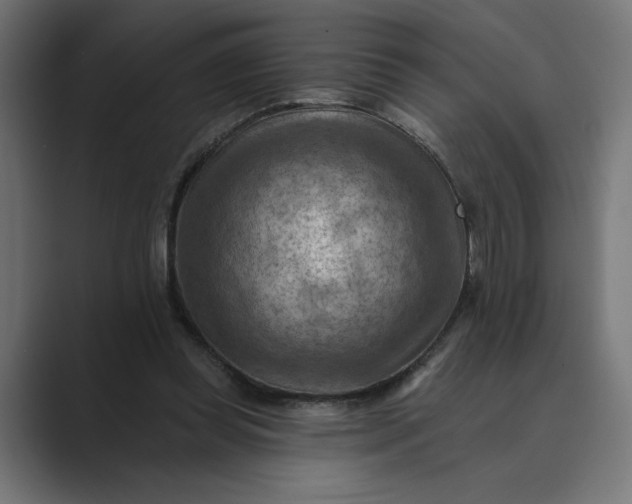 X0000089380349200706291321