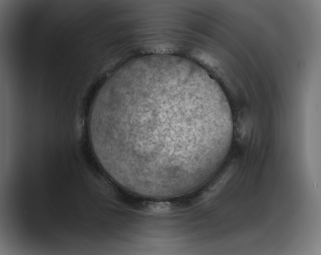 X0000089380355200706291321