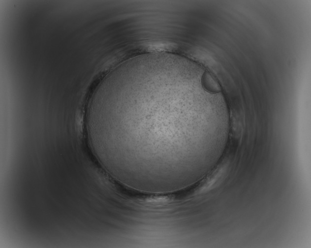X0000089380357200706291321