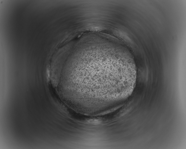 X0000089380358200706291321
