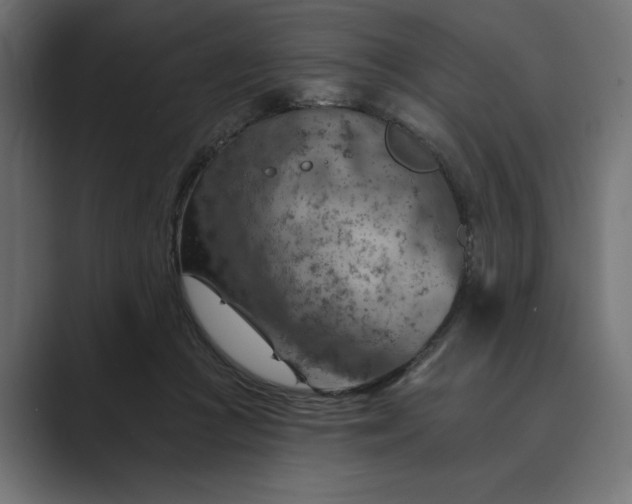 X0000089380361200706291321