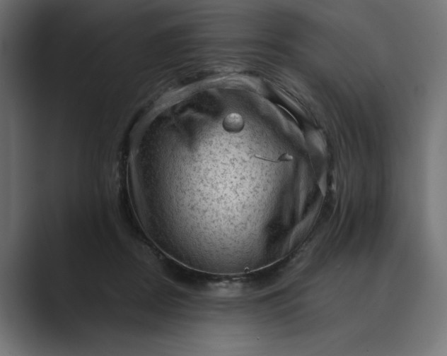 X0000089380362200706291321