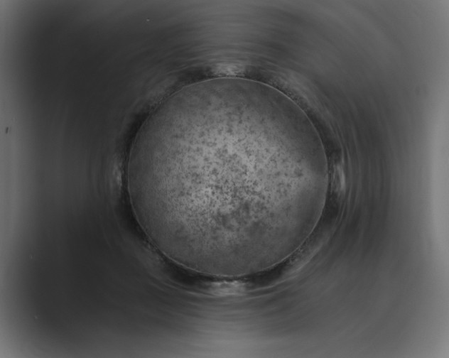 X0000089380363200706291321