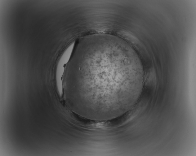 X0000089380365200706291321