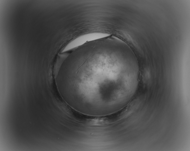 X0000089380366200706291321