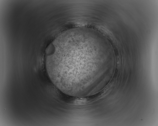 X0000089380369200706291321