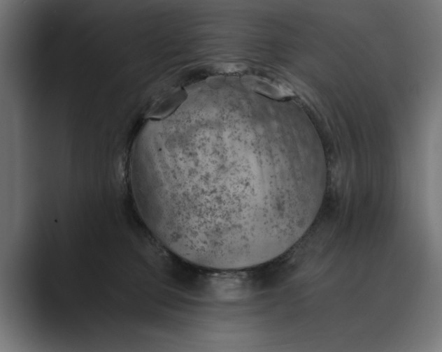 X0000089380373200706291321