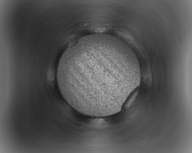 X0000089380374200706291321