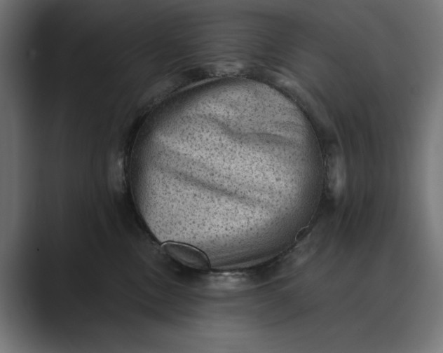 X0000089380378200706291321