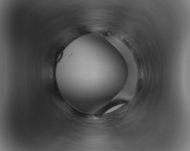 X0000089380380200706291321