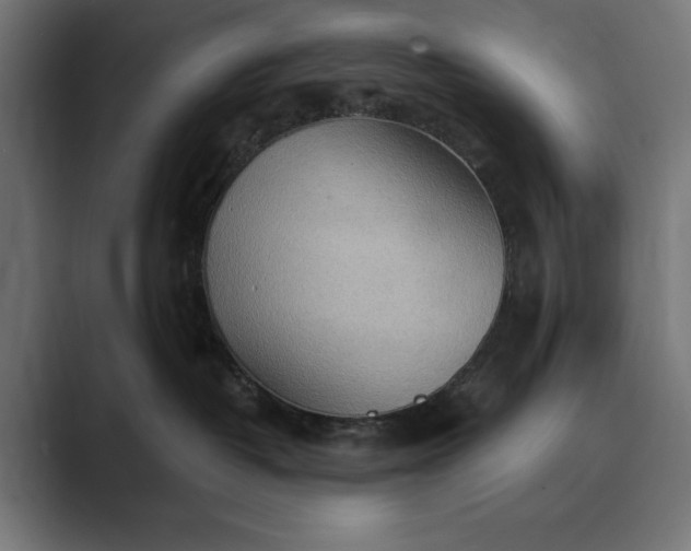 X0000089380382200706291321