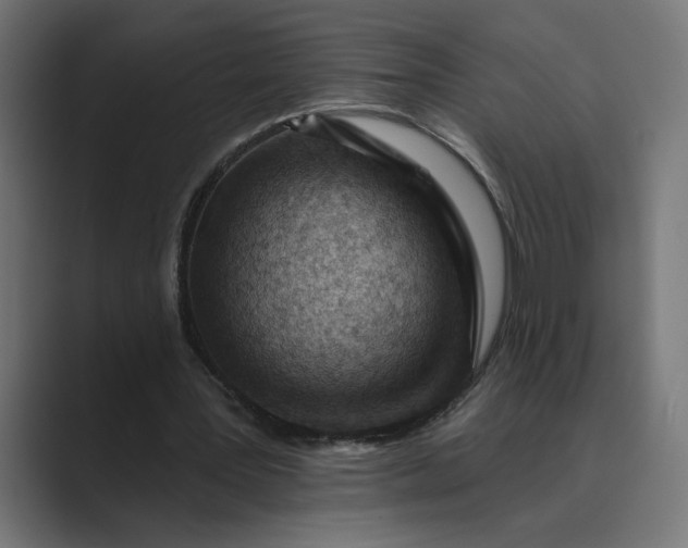 X0000089380387200706291320