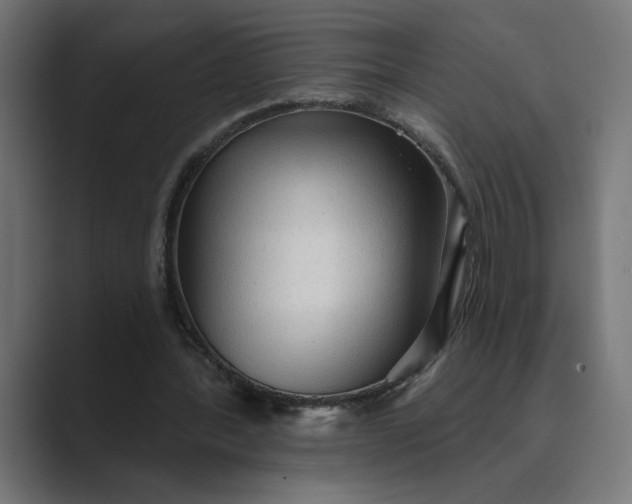 X0000089380388200706291320