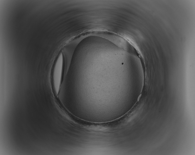 X0000089380389200706291320