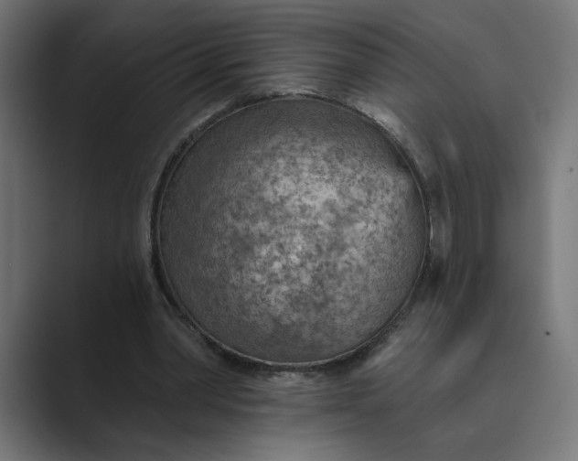 X0000089380390200706291320