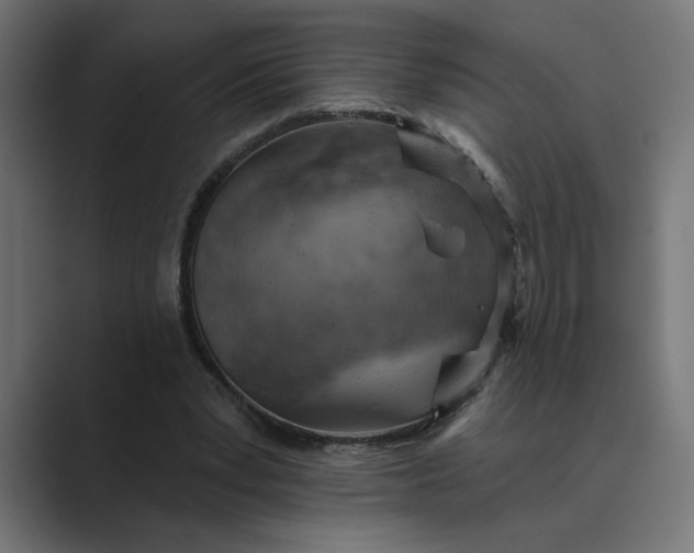X0000089380391200706291320