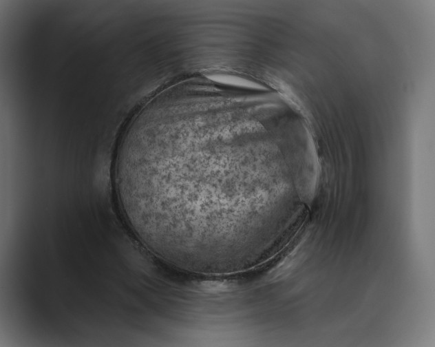 X0000089380394200706291320