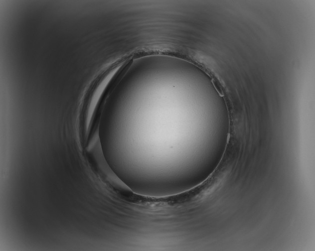 X0000089380395200706291320