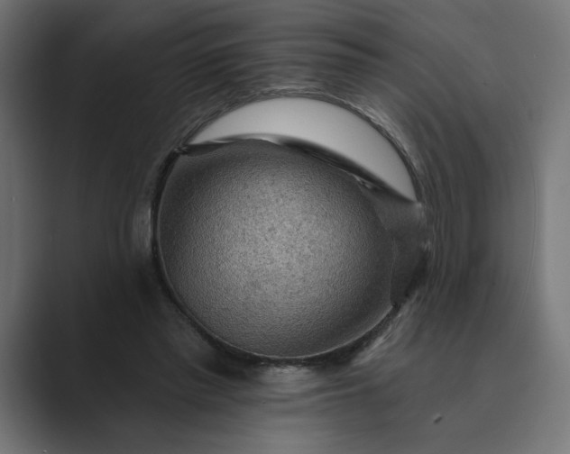 X0000089380397200706291320