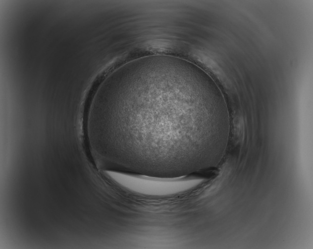 X0000089380399200706291320
