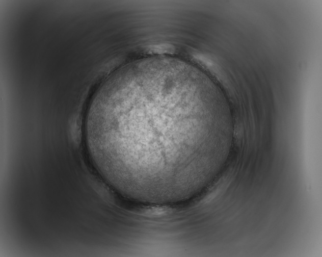 X0000089380402200706291320