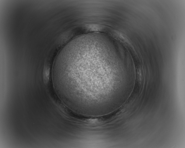 X0000089380406200706291320