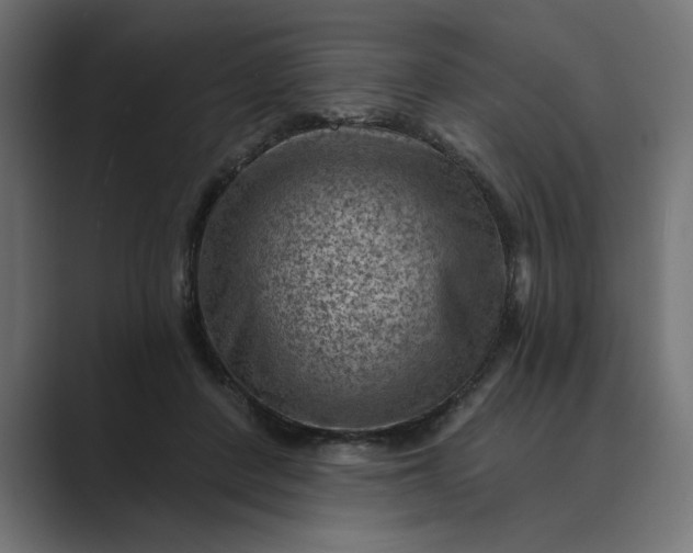 X0000089380408200706291320